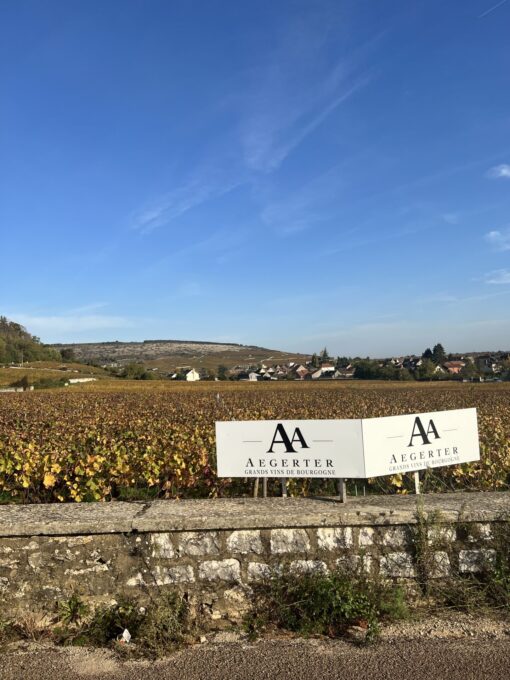 Aegerter Bourgogne